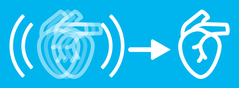 Entfernung von Artefakten