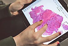 Die Nahaufnahme zeigt eine Hand, die das Display eines tragbaren Ger&auml;ts bedient.