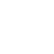 Neuro Suite Logo