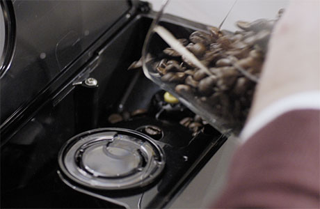 F&uuml;llen Sie den Kaffeebohnentrichter