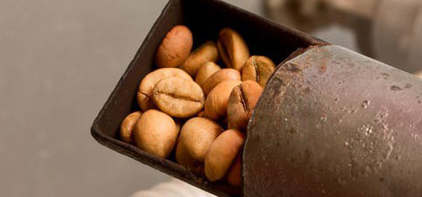 Ger&ouml;stete Kaffeebohnen &ndash; Dunklere R&ouml;stungen enthalten weniger Koffein